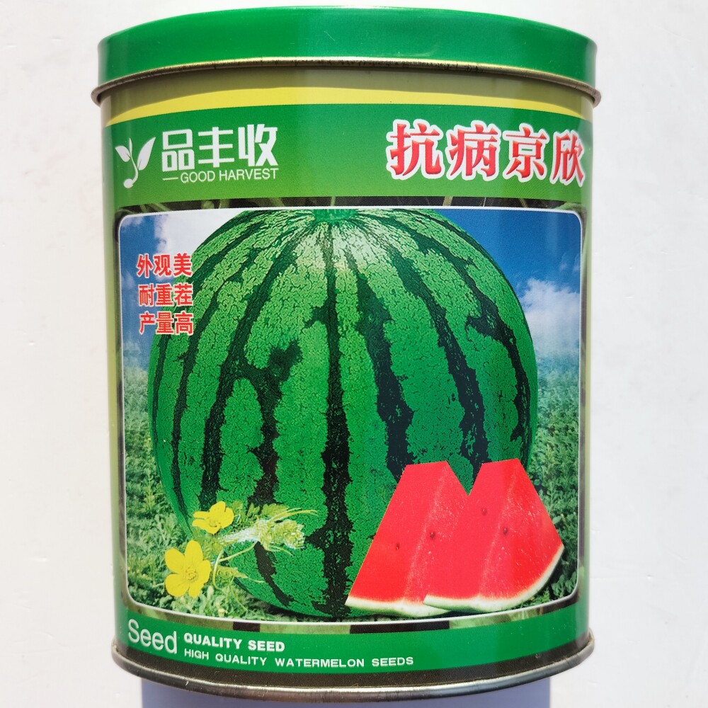 西瓜种子大全抗病京欣/西农八号/沙漠一号特大抗病耐重茬西瓜种籽