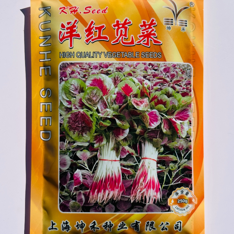 坤禾洋红苋菜种子耐热耐湿中圆叶红苋菜种籽口感好农家春夏秋季播