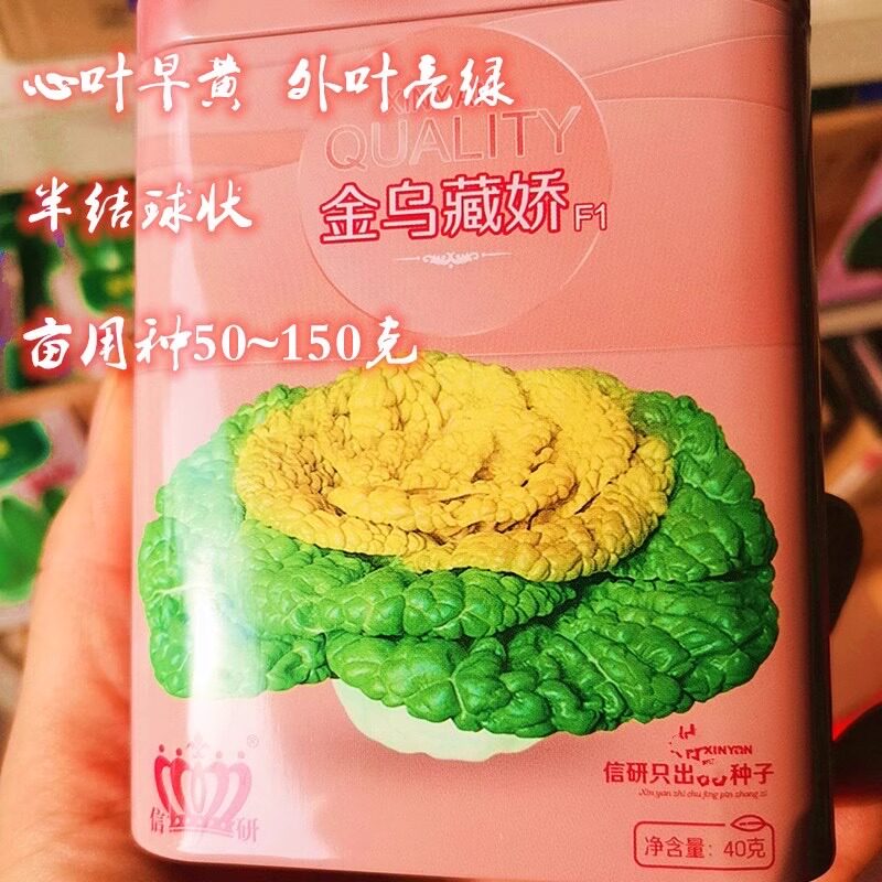 信研金乌藏娇黄心乌踏菜种籽黄心菜种子农家秋冬季播耐寒蔬菜种孑