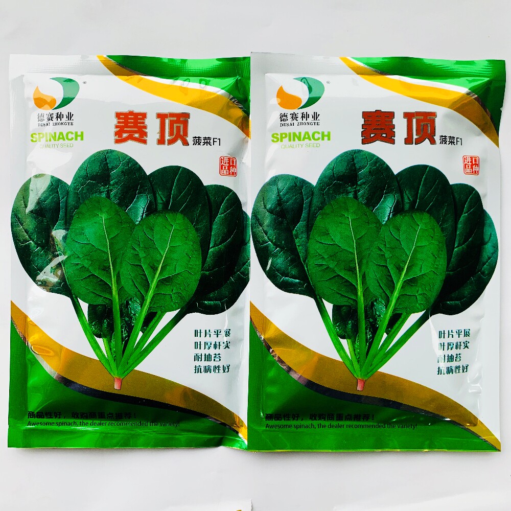 德赛赛顶菠菜种子抗病杂交耐寒直立菠菜种籽农家春秋季播蔬菜种孑