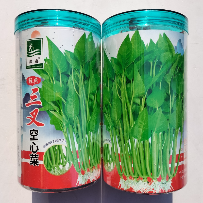 洪鑫三叉空心菜种子通心菜种籽高产抗病耐热春夏秋季播种蔬菜种孑