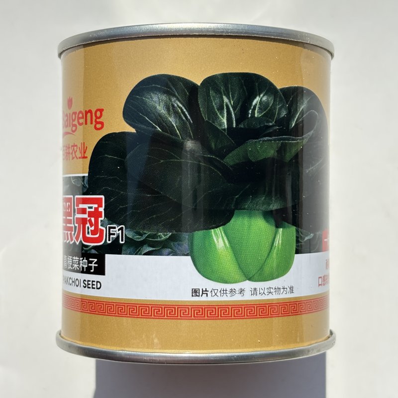 矮脚黑冠青梗菜种子黑叶小油菜籽四季播蔬菜种孑耐热耐寒口感甜糯