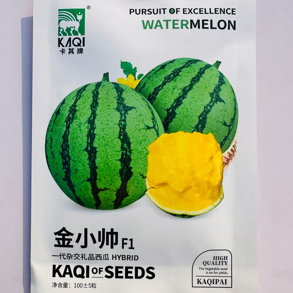 金小帅F1绿皮黄瓤西瓜种子一代杂交早熟薄皮礼品西瓜种籽甜脆多汁