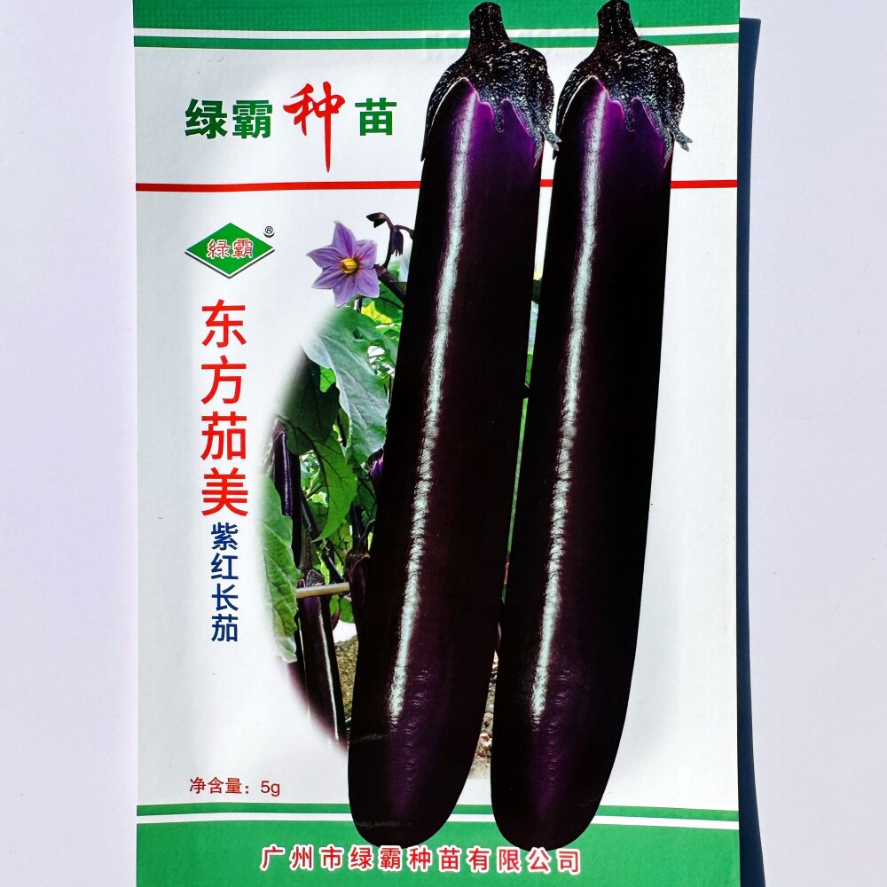 东方茄美紫红长茄种籽广州绿霸种苗中早熟茄子种子春秋季育苗播种