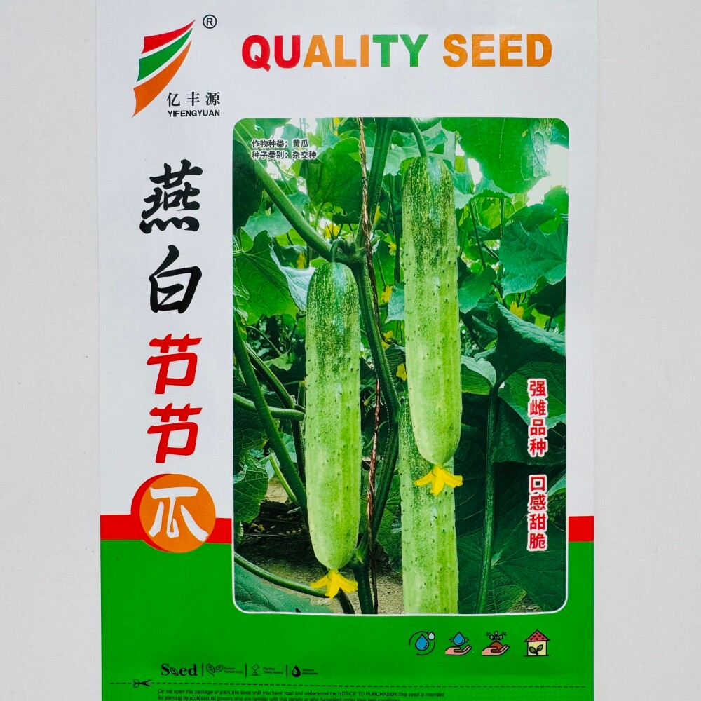 燕白节节瓜种子早熟口感脆甜瓜条顺直强雌黄瓜种籽农家春秋季播种