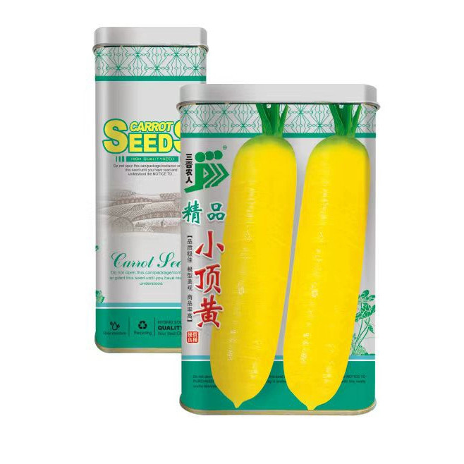 精品小顶黄胡萝卜种子高产优质金黄色胡萝卜种籽耐热萝卜种秋季播