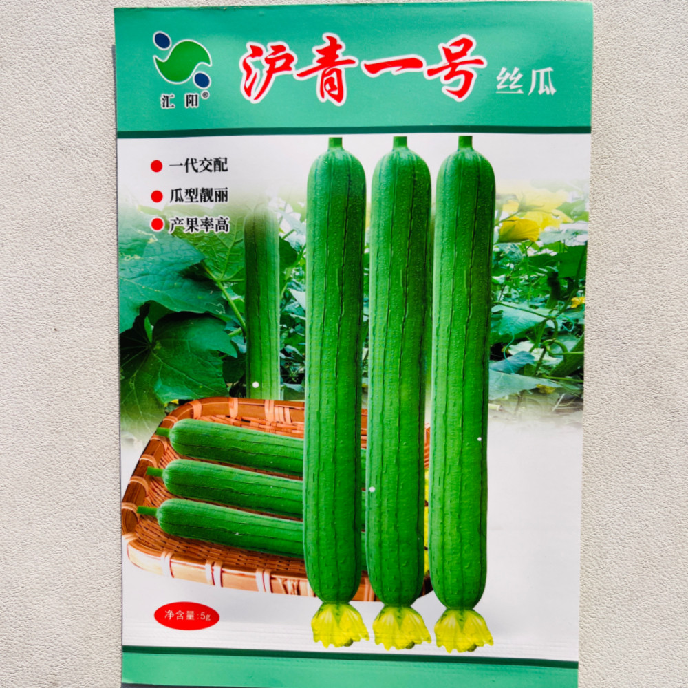 汇阳沪青一号丝瓜种子抗病早熟结果多瓜型靓丽杂交长香丝瓜种籽
