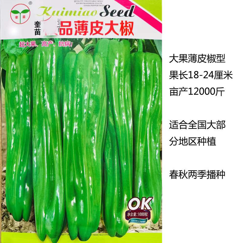 大果型薄皮椒种子早熟新品种辣椒籽春秋季播种盆栽大田基地蔬菜子