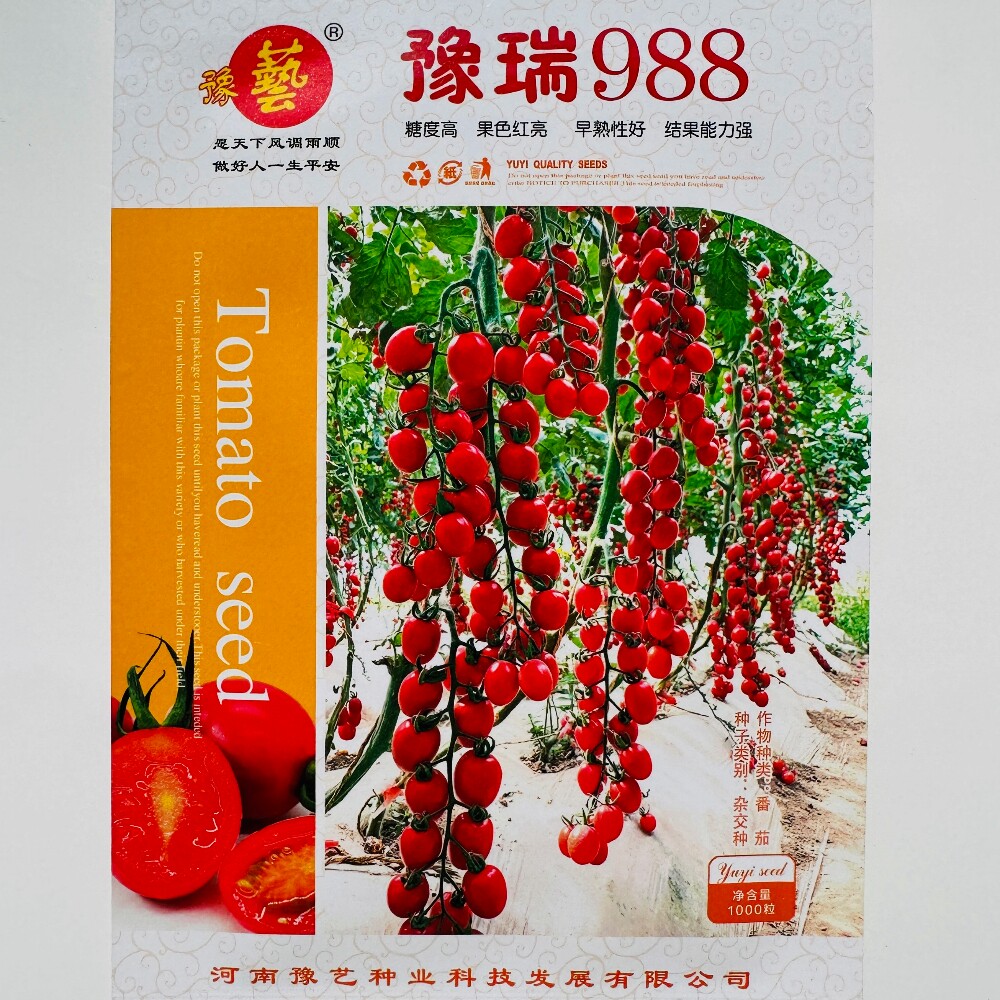 豫瑞988樱桃番茄种子早熟无限生长口感香甜小柿子种籽大田基地播