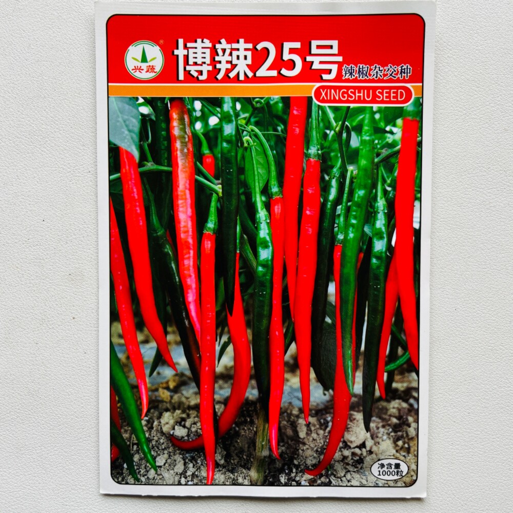 博辣25号杂交辣椒种籽线椒种子农家大田基地春秋季育苗播蔬菜种孑