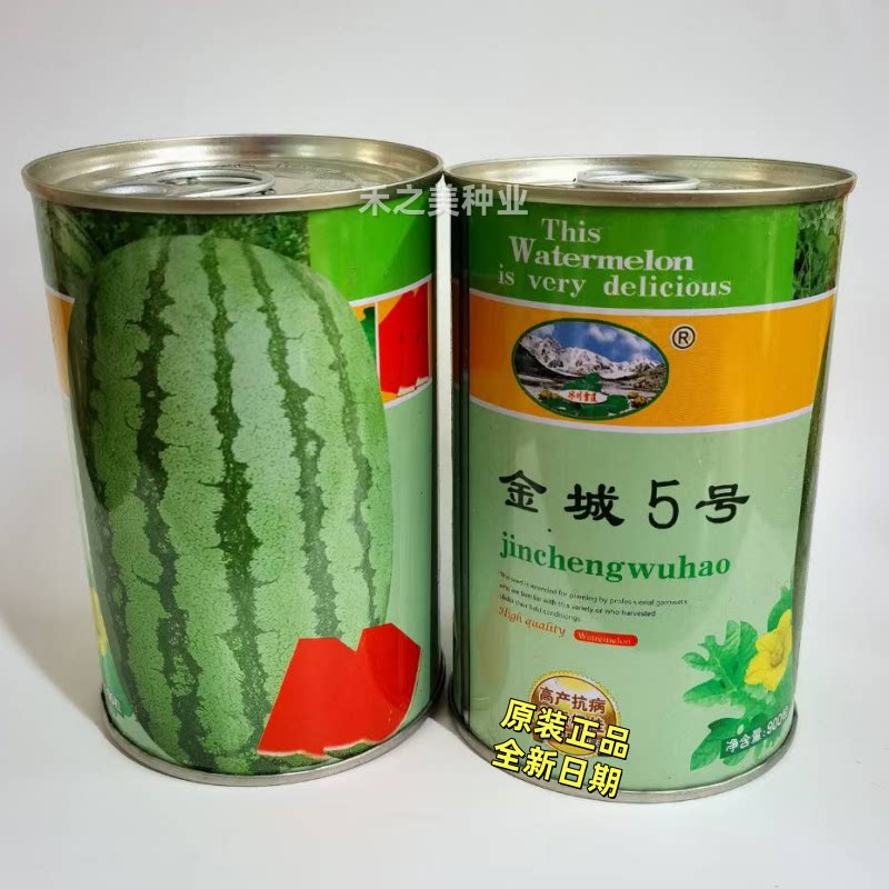 正宗金城5号西瓜种子特大甘肃压砂瓜红瓤高产特耐旱春季原装900粒