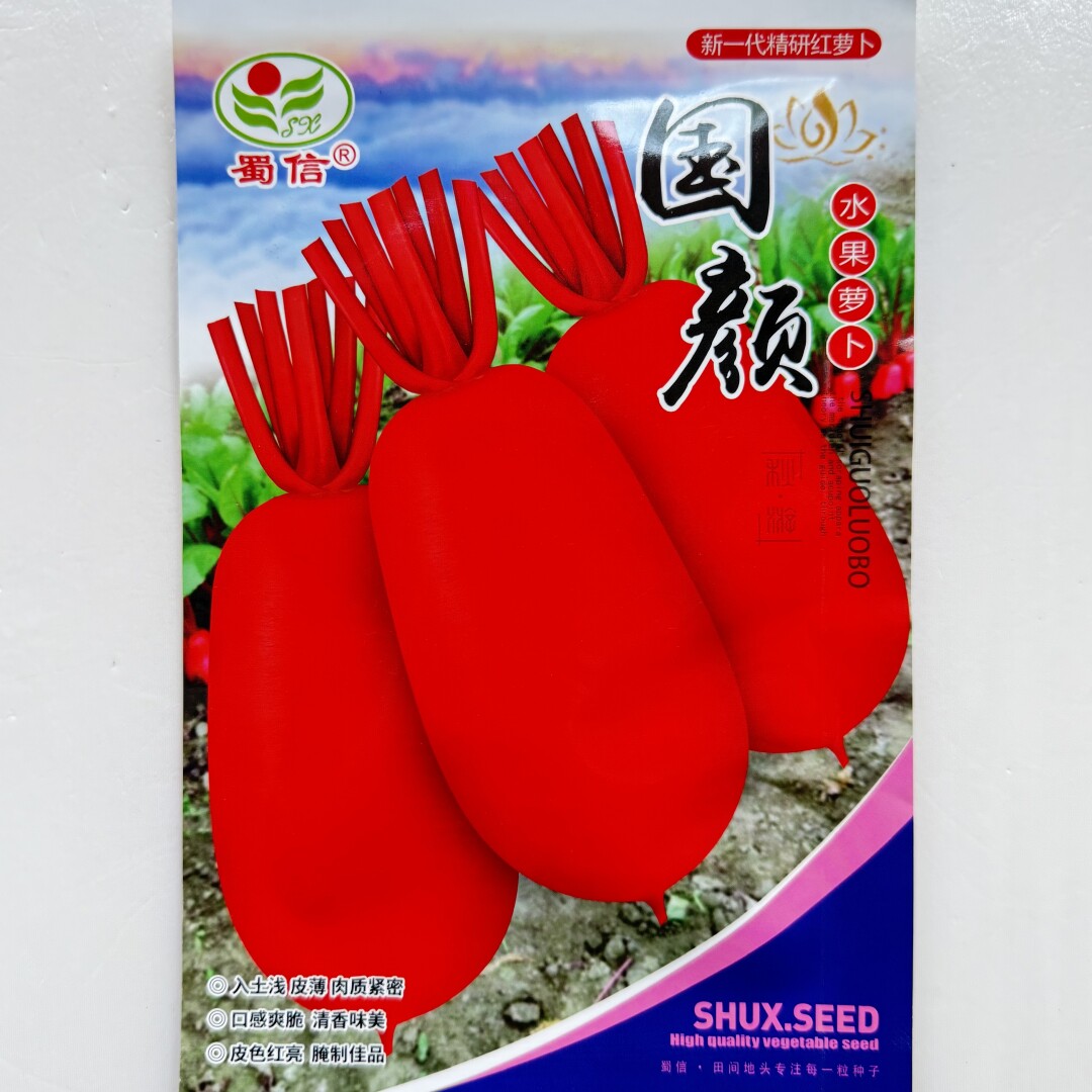 国颜水果萝卜种子肉质细嫩口感脆爽满身红皮白心红萝卜种籽秋季播