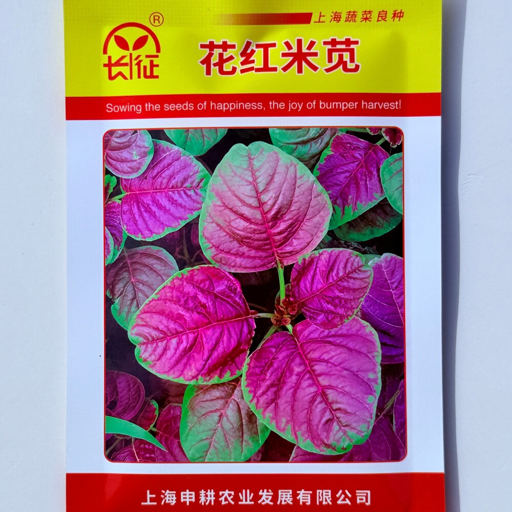 花红米苋种籽红苋菜种子全缘无毛农家菜园阳台庭院春夏秋季播蔬菜