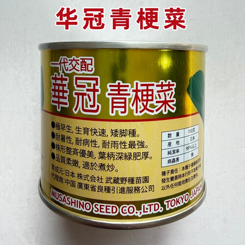 日本武藏野华冠青梗菜种子矮脚种小油菜籽四季上海青种籽蔬菜种孑