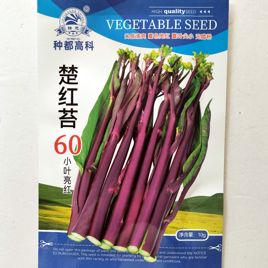 楚红苔60红菜苔种子早熟小叶亮红菜苔种籽无蜡粉农家秋季播蔬菜孑