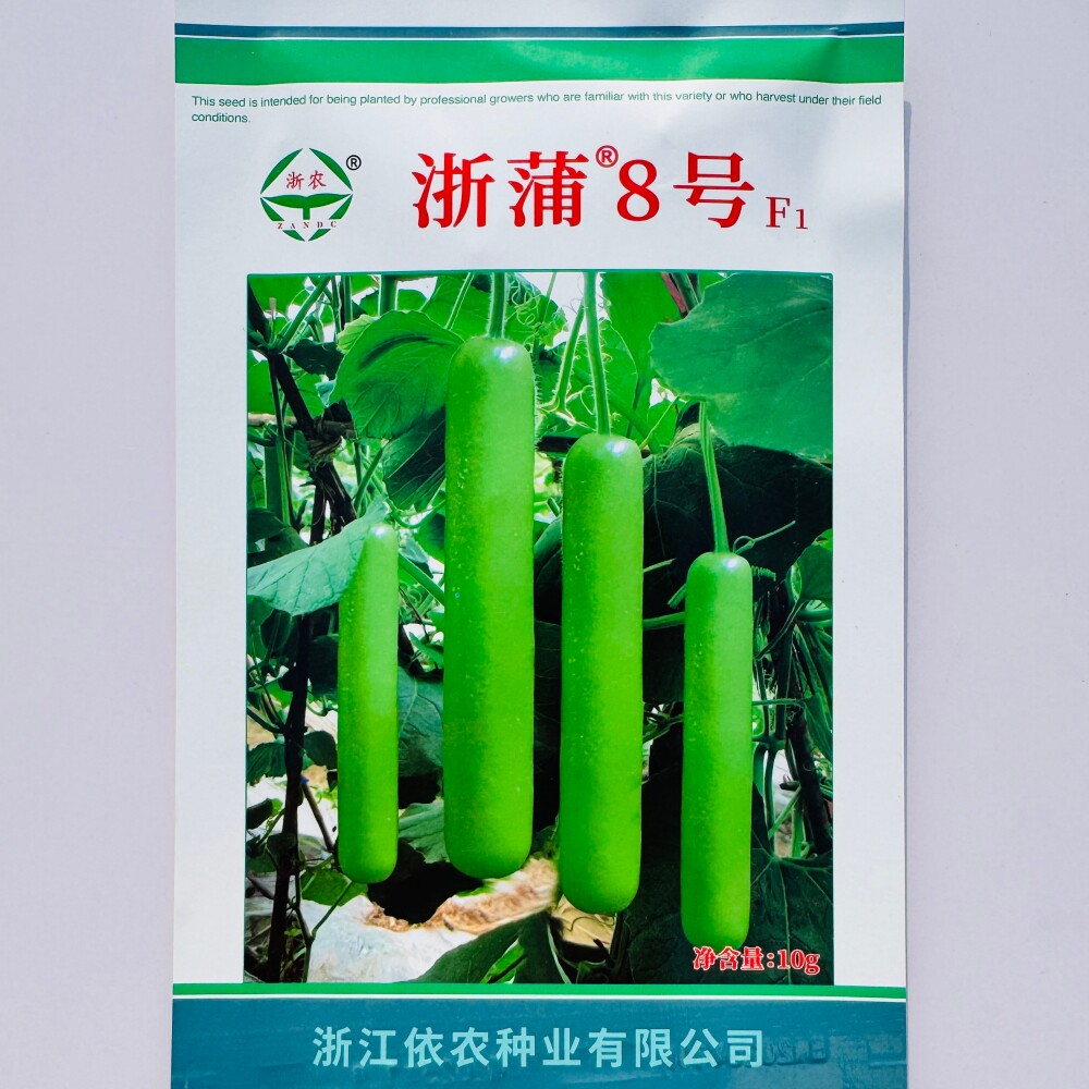 浙蒲8号蒲瓜种子长瓜种子浙瓠子瓜种籽耐热高产品质佳蔬菜基地用
