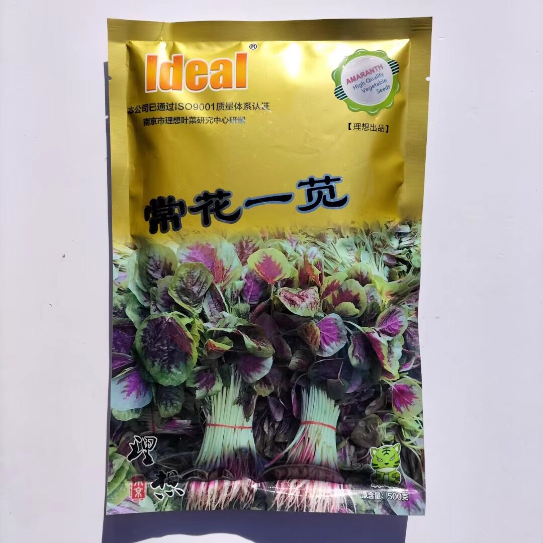 理想红花苋菜种子圆叶白梗苋菜种子耐热耐旱早熟南北方春下播蔬菜