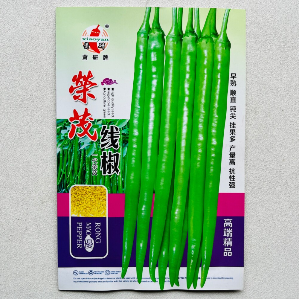 萧研荣茂线椒种籽早熟中大果辣椒种孑浅绿皮香辣口感好农家春秋播