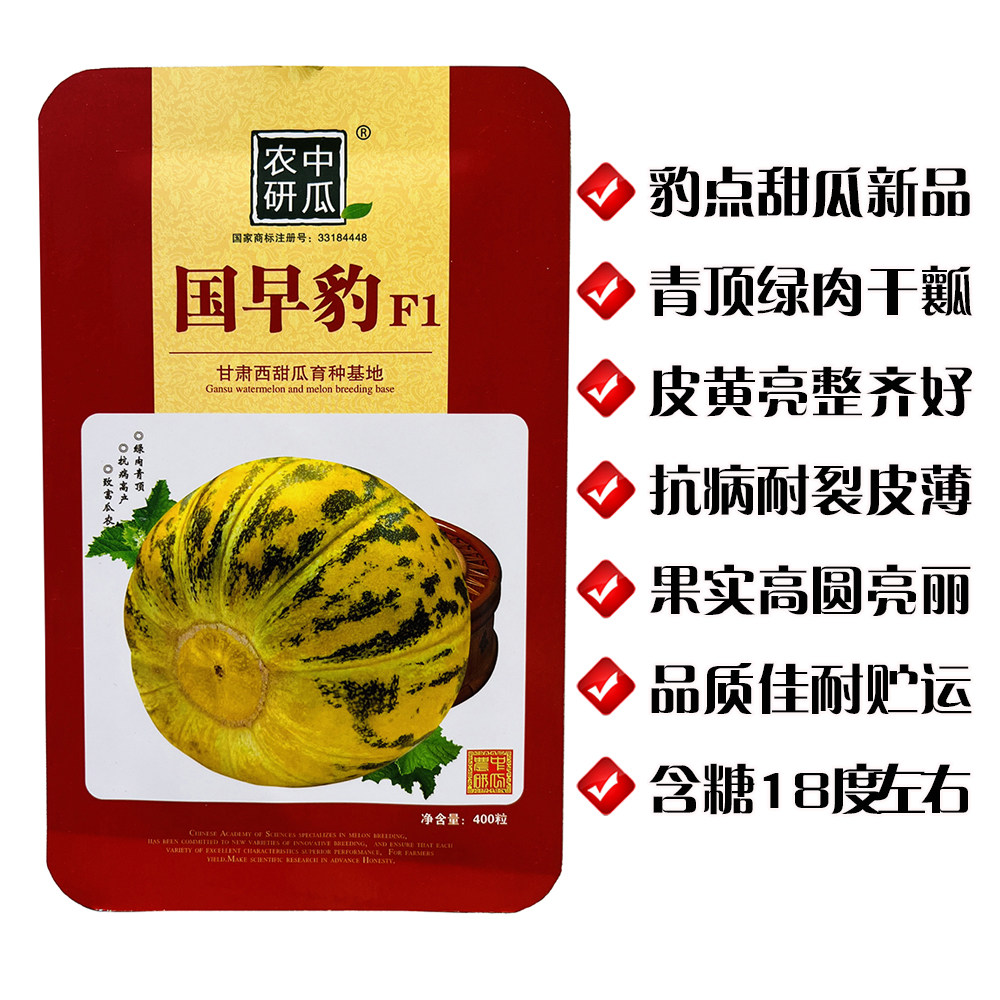 国早豹F1花皮甜瓜种子 抗病杂交耐裂薄皮高糖香瓜种籽 大田基地播