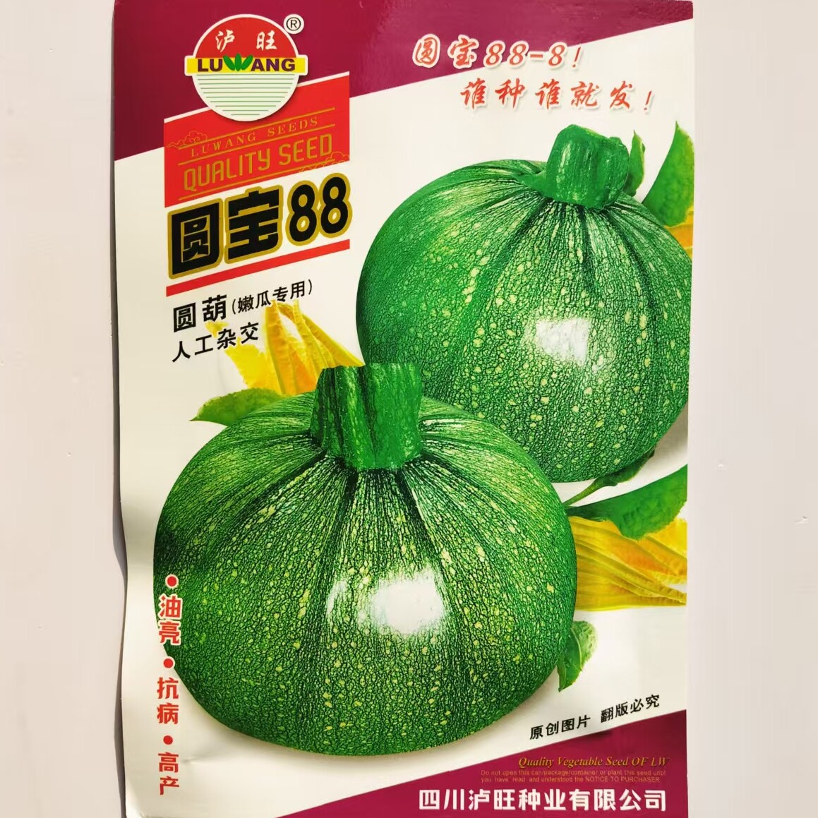 圆宝88圆形西葫芦种子高产杂交短蔓矮生油亮嫩南瓜种籽春秋季播种