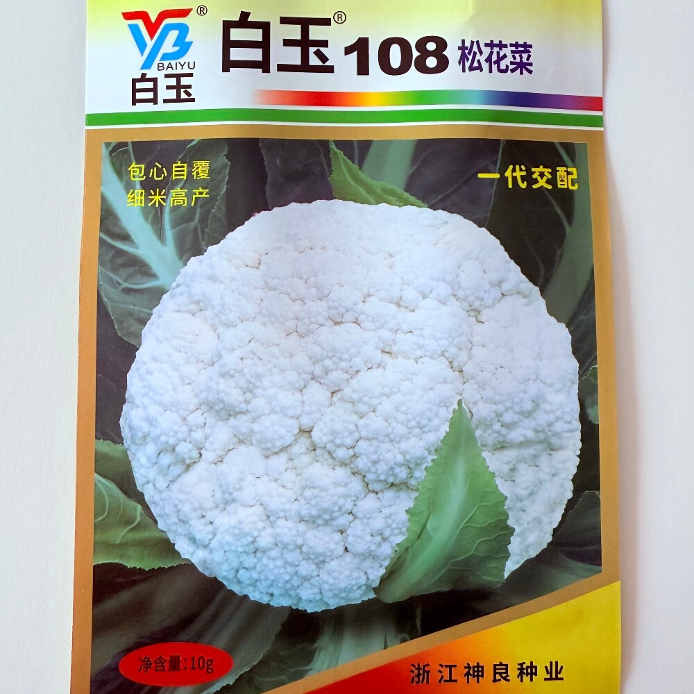 神良白玉108白花菜种子晚熟耐寒杂交青梗松花菜花椰菜种籽春秋播