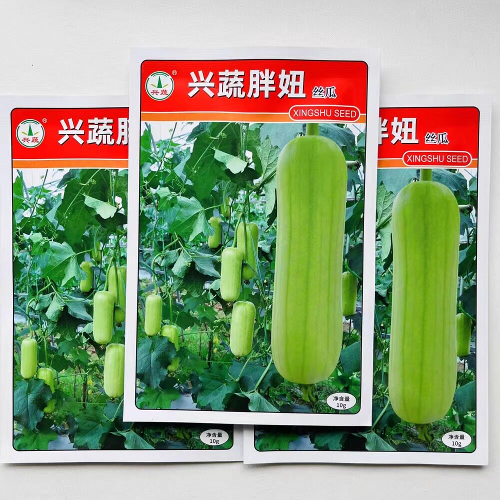 兴蔬短棒丝瓜种子高产厚肉香甜白皮水瓜种子农家春夏季播蔬菜种孑
