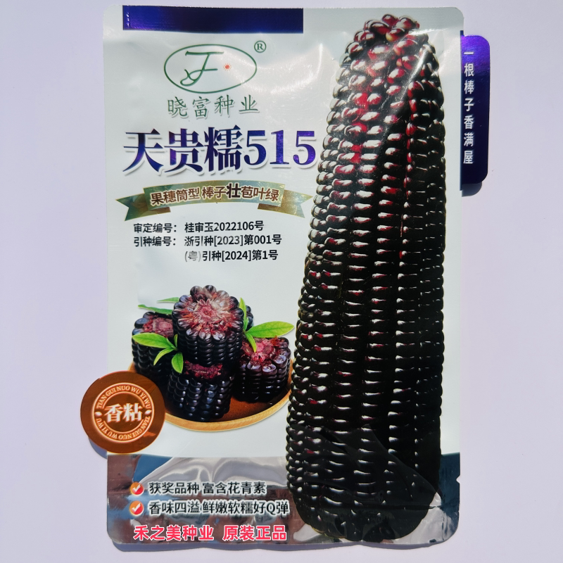 天贵糯515黑糯玉米种子香粘软糯Q弹黑玉米种籽花青素含量高春秋季