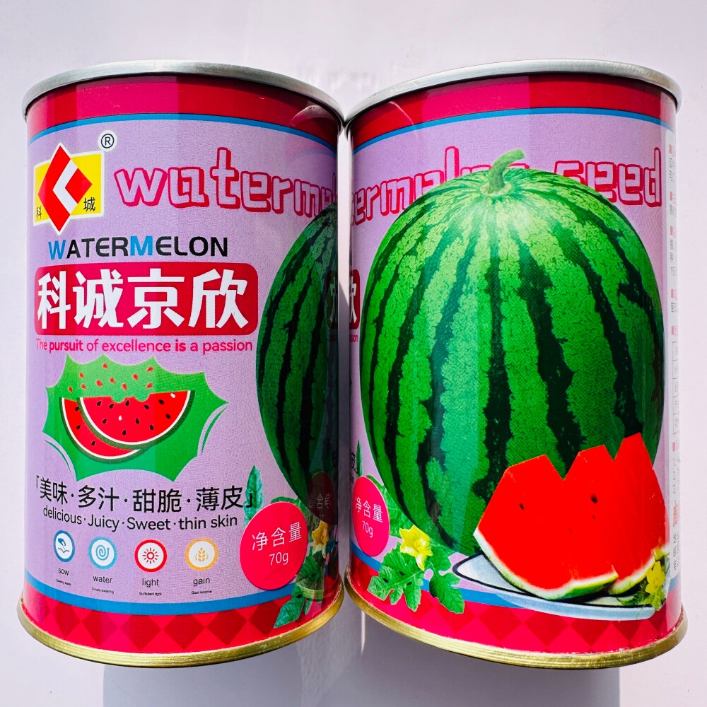 科诚京欣西瓜种子 大果红瓤薄皮甜脆西瓜种籽 南北方春秋季播种孑
