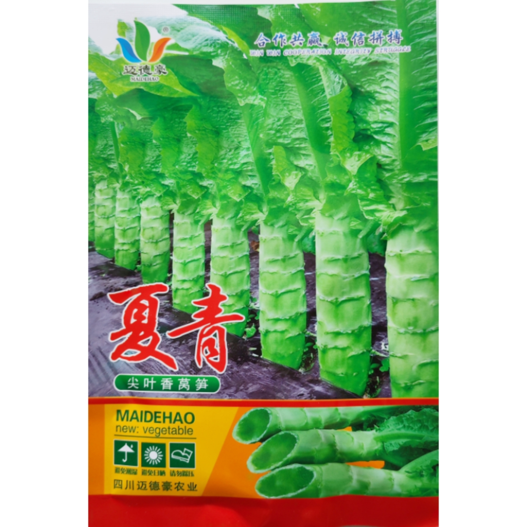 迈德豪夏青莴苣种籽高产耐热尖叶青皮青肉高桩香莴笋种子夏秋季播