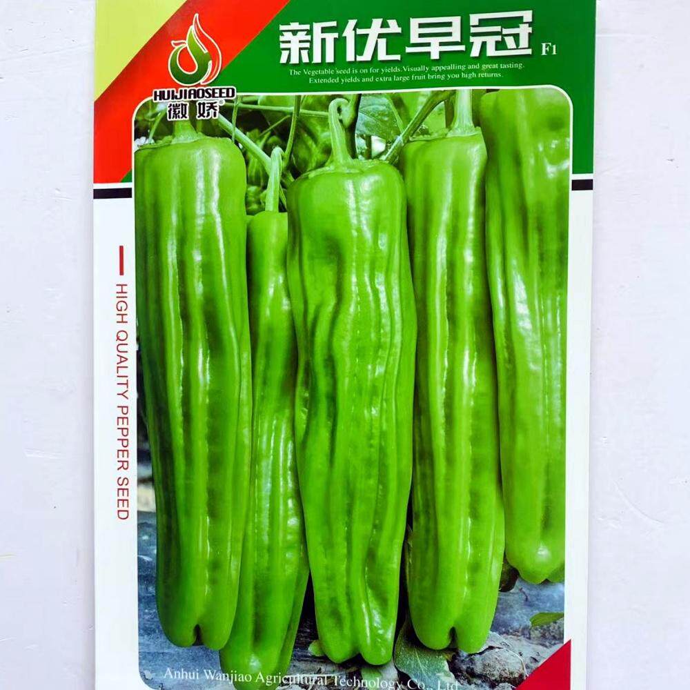 新优早冠大果薄皮泡椒种籽浅绿皮薄辣椒种子农家春秋季育苗播种孑
