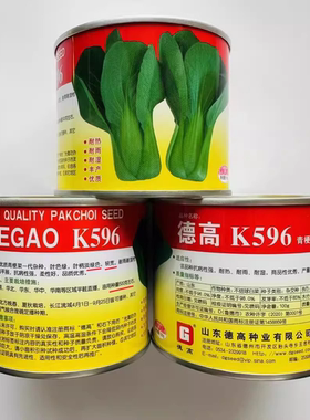 德高K596青梗菜青菜种籽子夏秋耐热耐湿上海青唐菜鲜嫩小青菜蔬菜