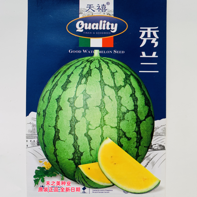 天禧秀兰黄瓤西瓜种子抗病早熟皮薄水果小西瓜种籽南北方春夏季播