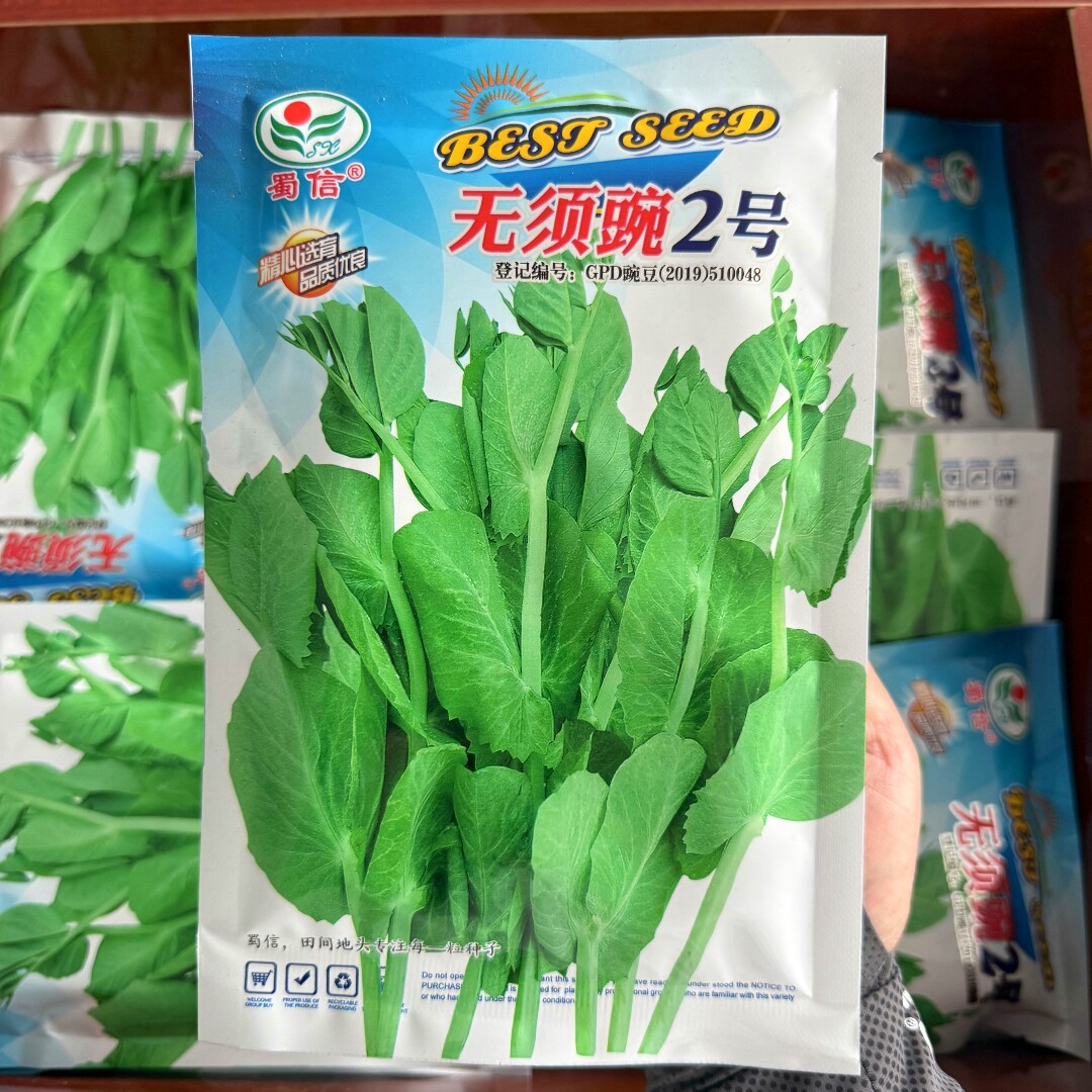 无须豌2号豌豆苗种籽四川蜀信种业白花脆甜农家秋冬季播蔬菜种子