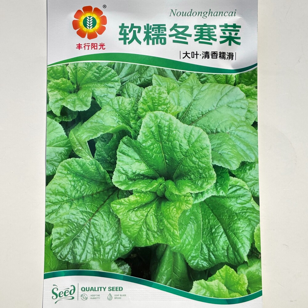 软糯冬寒菜种子大叶清香糯滑味道鲜美四川苋菜马蹄菜种籽秋冬季播