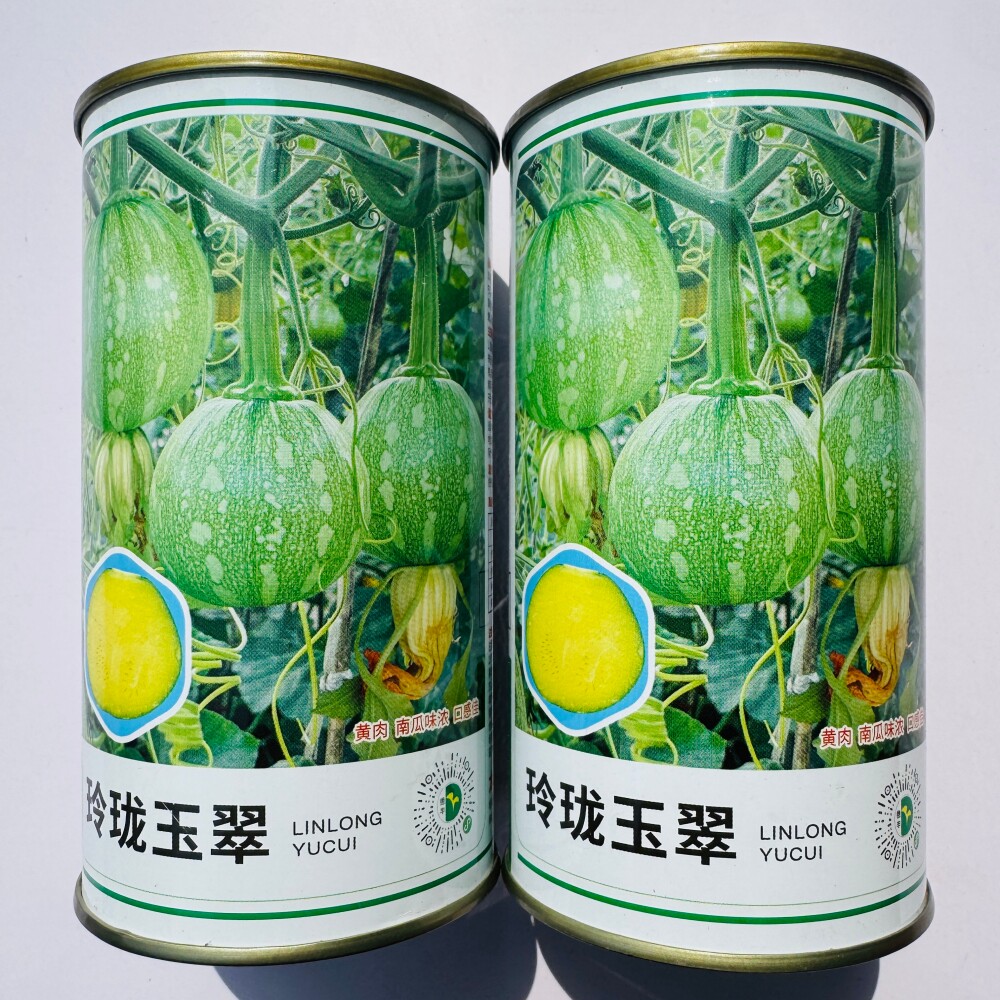 德丰种业玲珑玉翠南瓜种子花皮黄肉耐寒早熟口感好杂交圆南瓜种籽