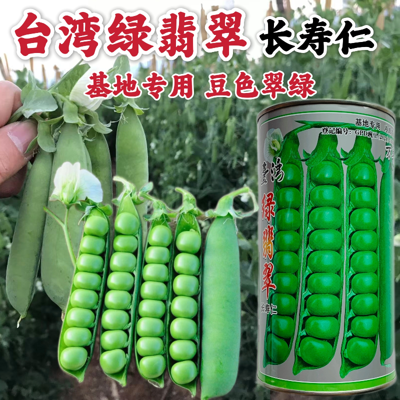 台湾绿翡翠长寿仁豌豆种子甜脆青豌豆种籽抗病高产春秋季播蔬菜孑