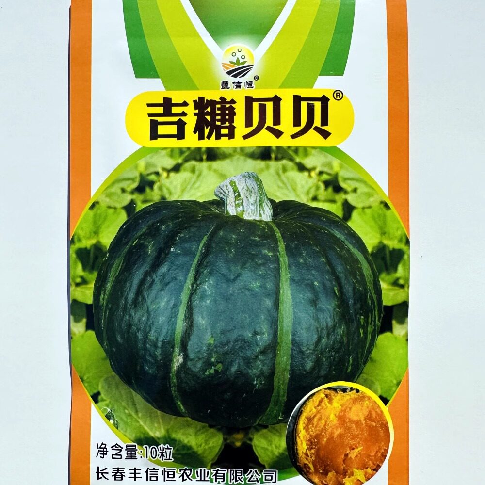 吉糖贝贝南瓜种子粉甜香糯高产小南瓜种籽板栗四季蔬菜春秋菜种籽
