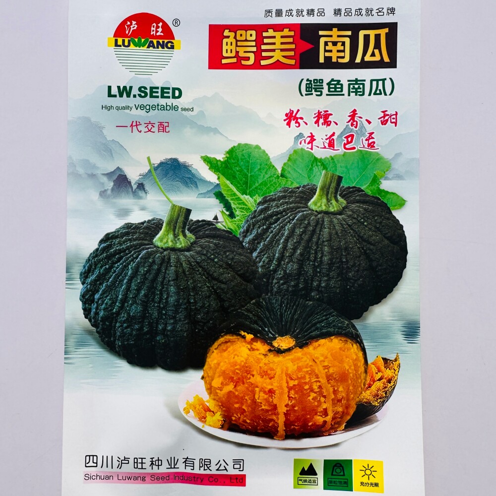 泸旺鳄美南瓜种子高产粉糯香甜鳄鱼南瓜种籽口感好农家春秋季播种
