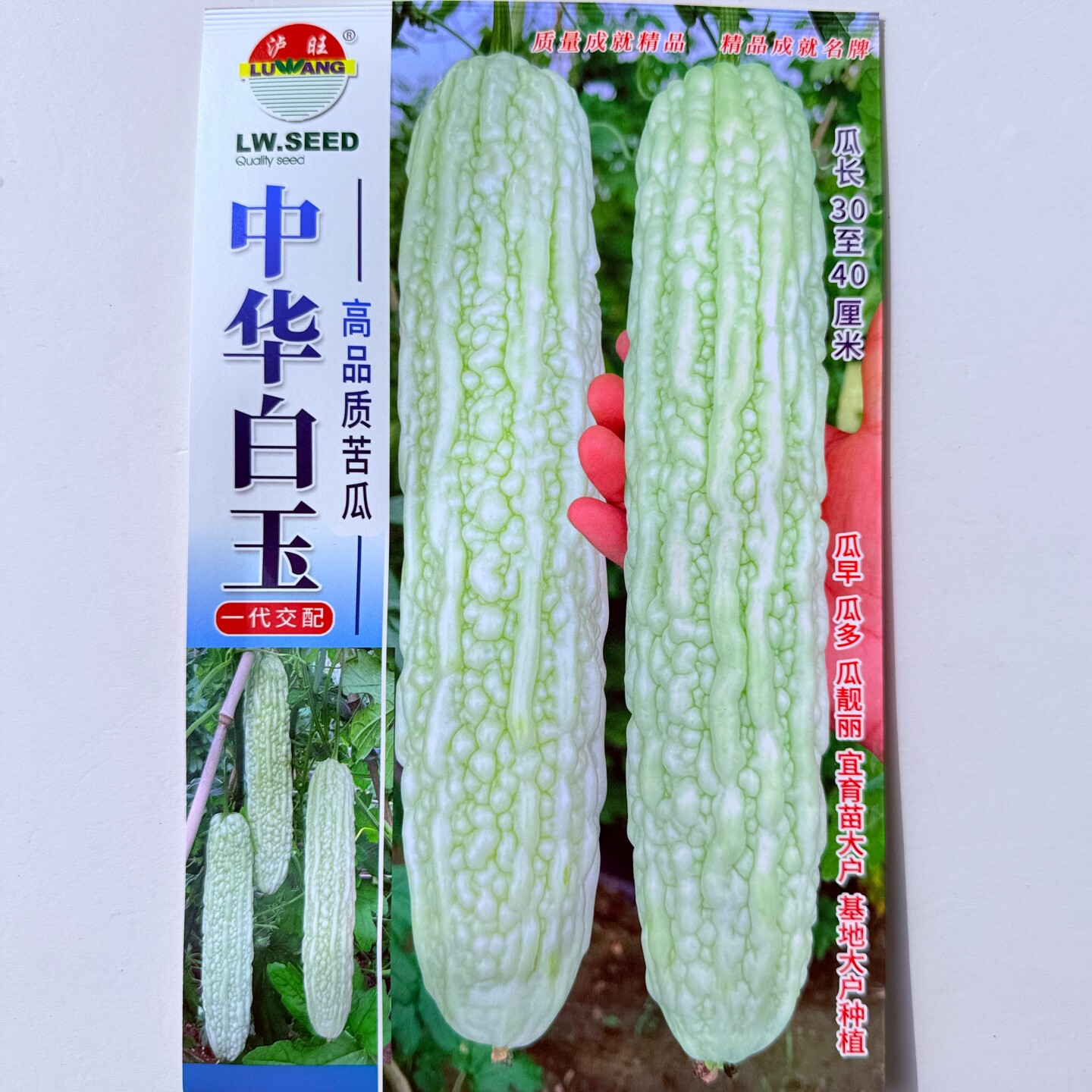 泸旺中华白玉苦瓜种子耐热早熟高产长白苦瓜种籽清爽脆嫩春秋季播