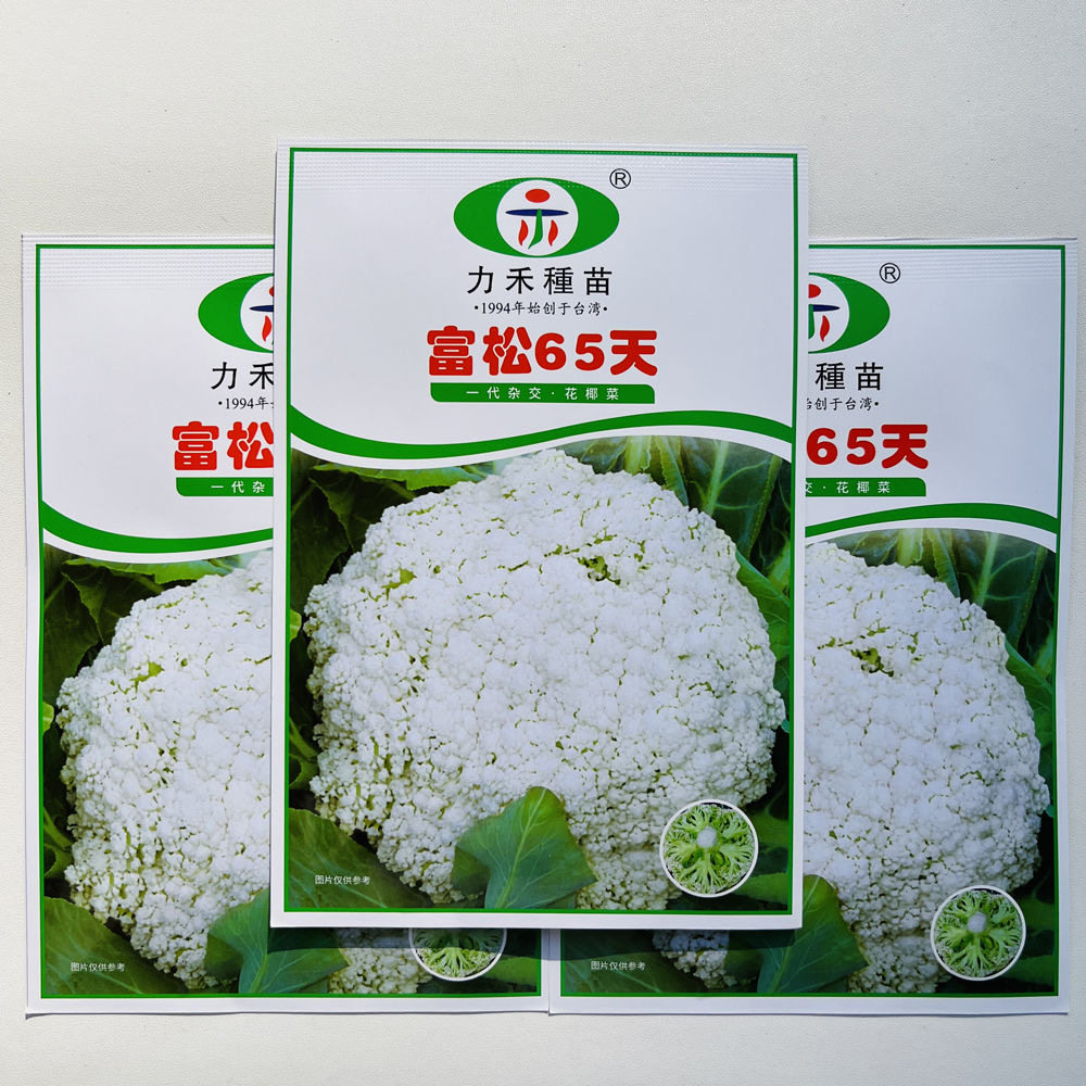 力禾富松65天白花菜种子早熟青梗松花菜花椰菜种籽大田基地春秋播