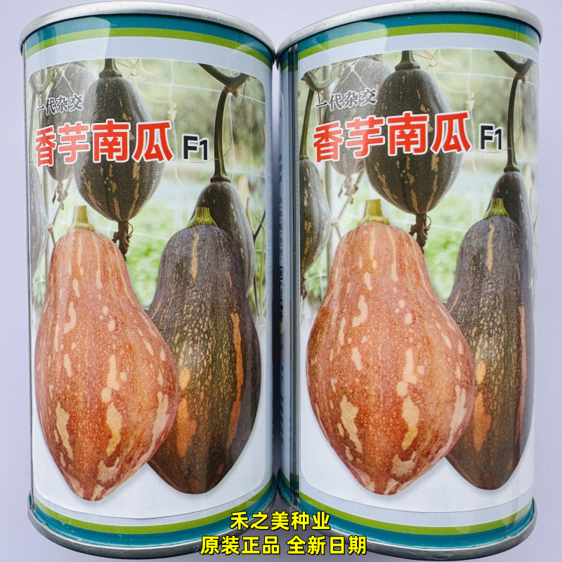一代杂交香芋南瓜种子味甜肉厚有香芋味南瓜种籽软糯香甜基地专用