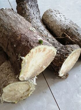 【药用非种植】云南野生药用仙人掌15-20年药用美容外敷足年药用
