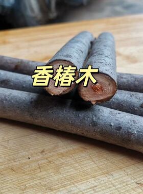 【60cm*6根】香椿木原木干花落地复古装饰底座乔迁之喜结婚