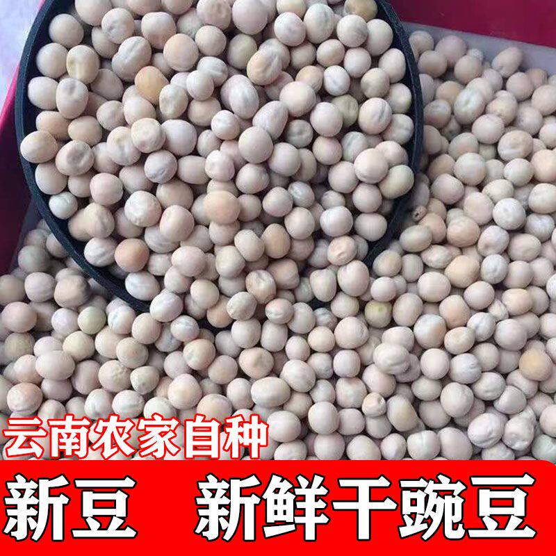 云南农家自种今年新白豌豆干豌豆芽菜重庆小面生豌豆蔬菜盆栽