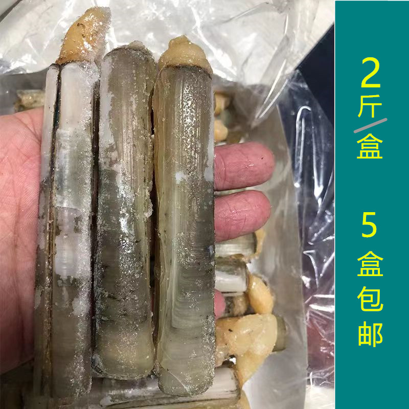 2斤竹蛏冷冻大蛏子海鲜水产新鲜蛏子大海贝带壳海鲜双头蛏子海蚬