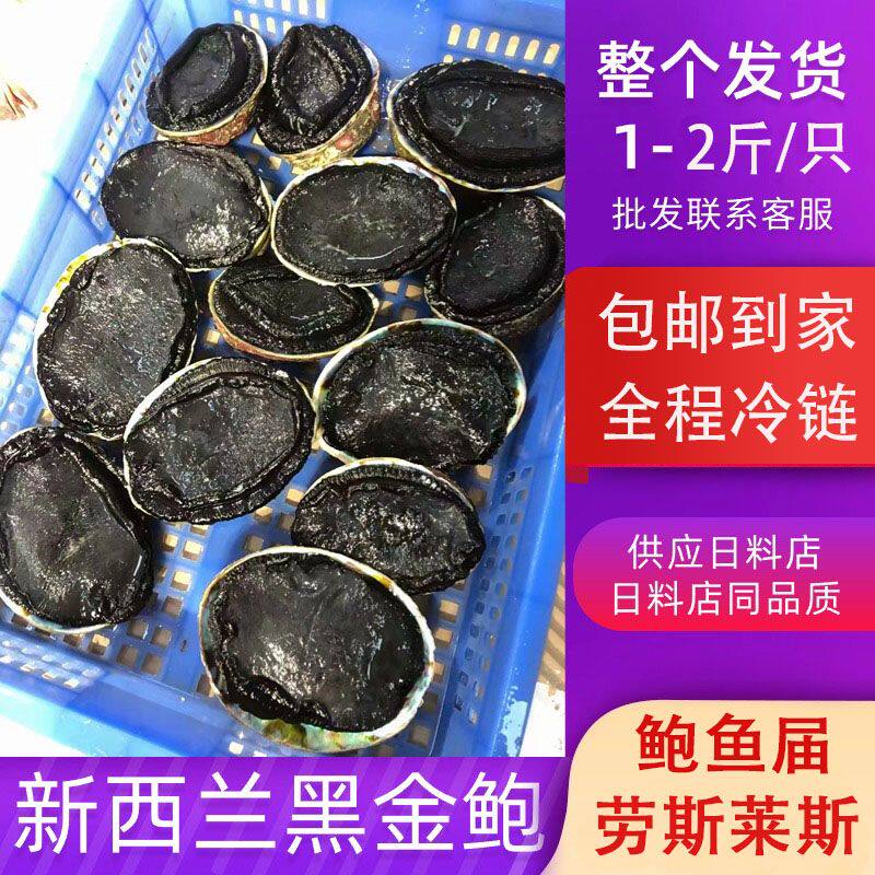 新西兰黑金鲍黑金鲍冰鲜速冻鲍鱼特大澳洲鲍鱼冷冻日料刺身