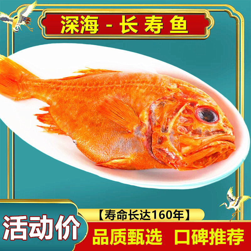 1-4斤【 5条 长寿鱼】新鲜富贵鱼开背商用斑鱼红鱼橙鲷鱼海鲜冻品