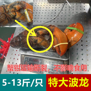 5-13斤大波龙冷冻特大波龙澳龙大龙虾断钳特价处理波士顿龙虾