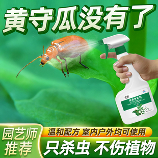 专杀黄守瓜药杀虫剂杀治灭防治专用预防红蜘蛛白粉虱专介壳虫虫害