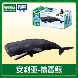 TOMY安利亚抹香鲸仿真动物玩偶塑胶可动模型儿童玩具
